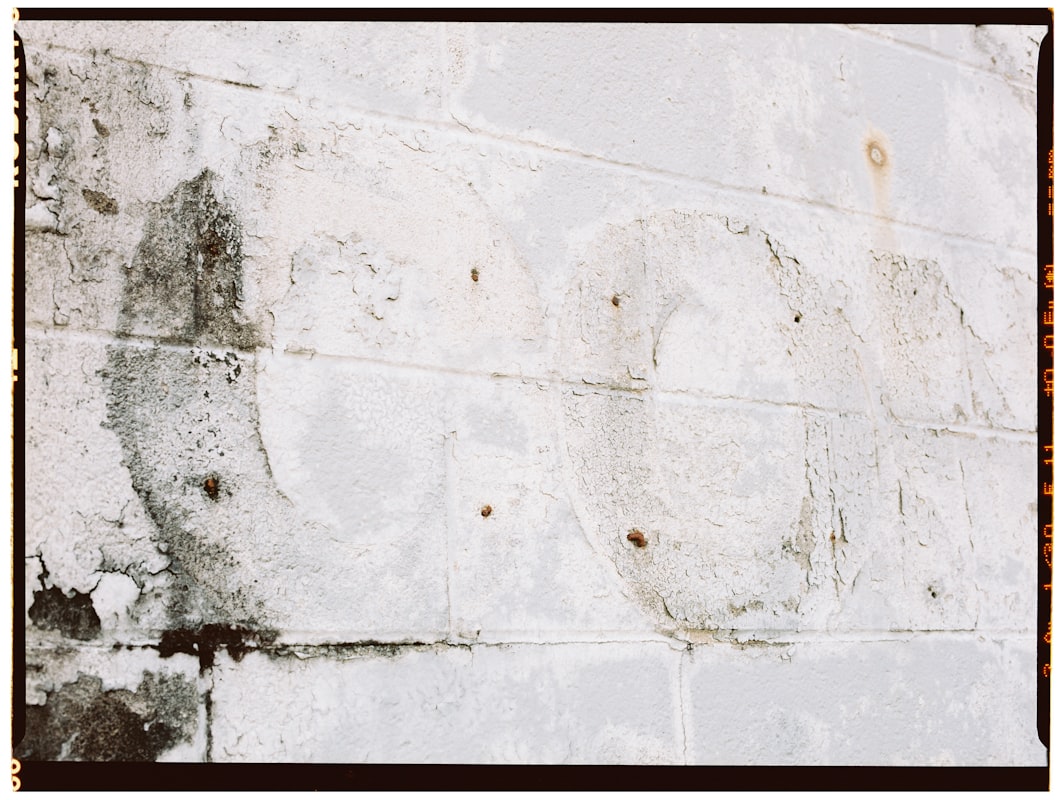 Flood Cleanup service in Longview, WA